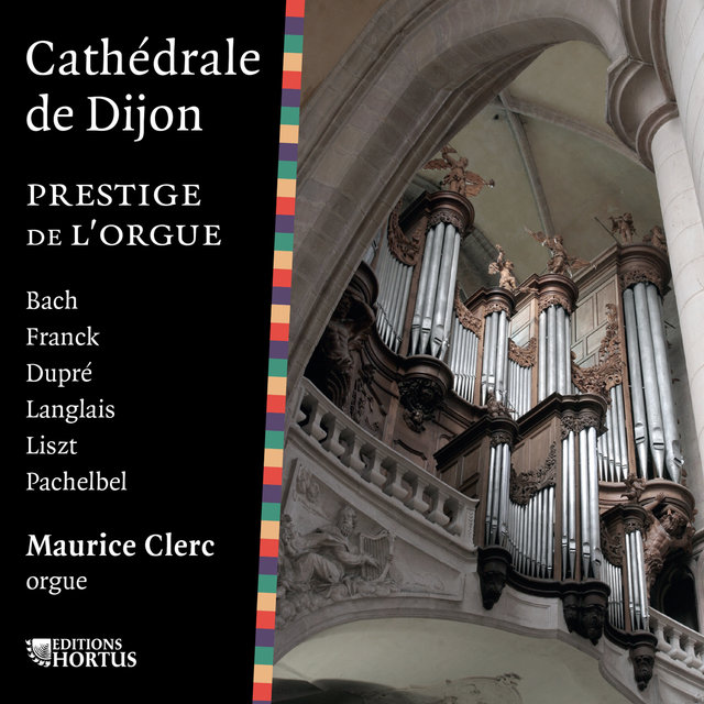 Couverture de Cathédrale de Dijon