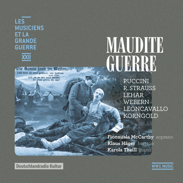 Maudite guerre (Les musiciens et la Grande Guerre, Vol. 22)