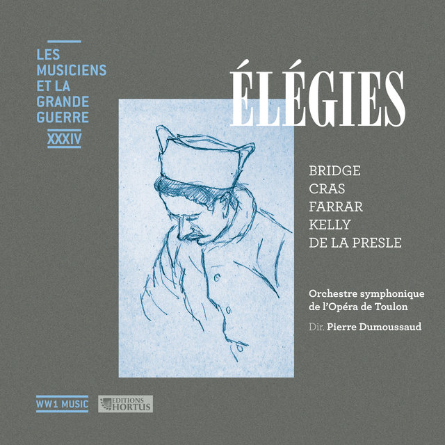 Couverture de Élégies (Les musiciens et la Grande Guerre, Vol. 34)