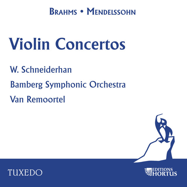 Couverture de Brahms & Mendelssohn: Violon Concertos