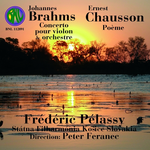 Couverture de Brahms: Concerto pour Violon et Orchestre, Poème