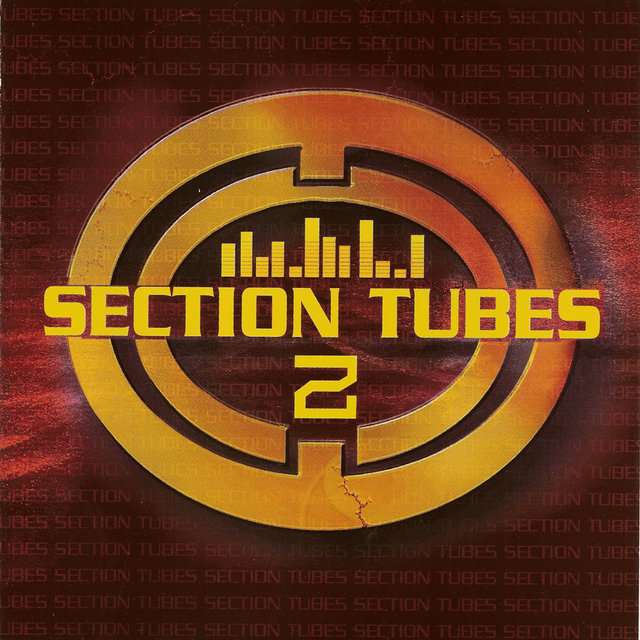 Couverture de Section Tubes Zouk, Vol. 2