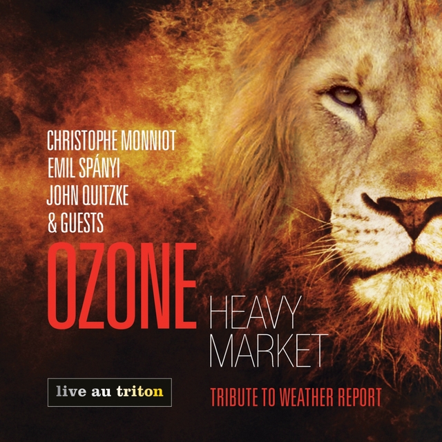 Couverture de Heavy Market Tribute to Weather Report