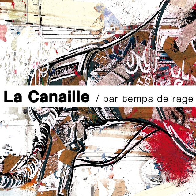 Couverture de Par temps de rage