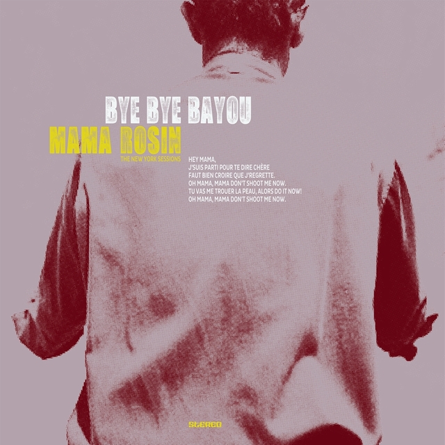 Couverture de Bye Bye Bayou