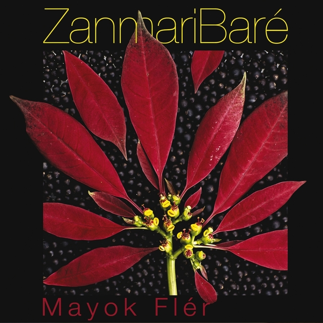 Couverture de Mayok flér