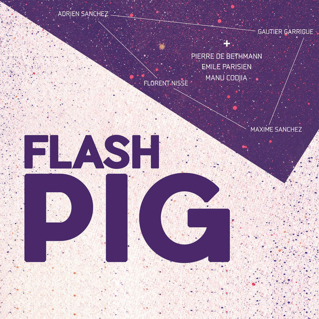 Couverture de Flash Pig