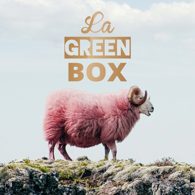 Couverture de La Green Box