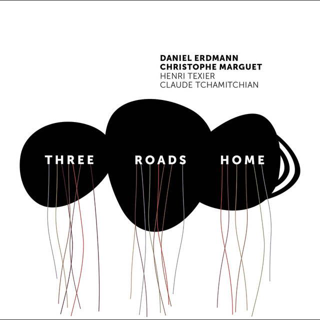 Couverture de Three Roads Home