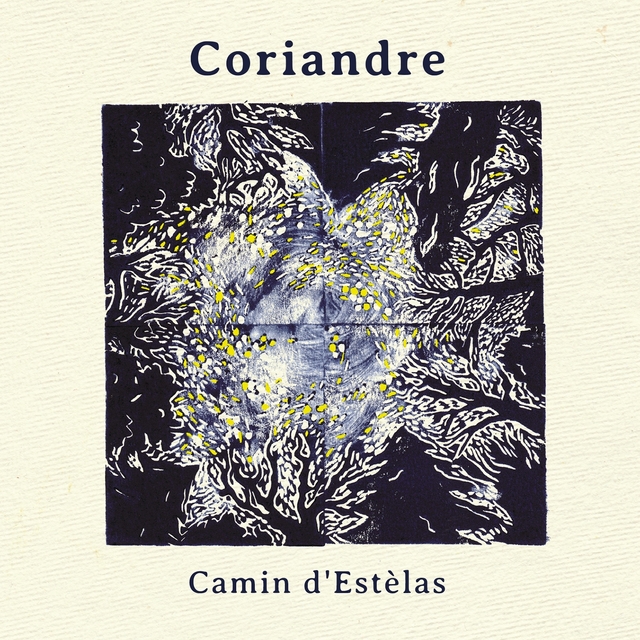 Couverture de Camin d'estèlas