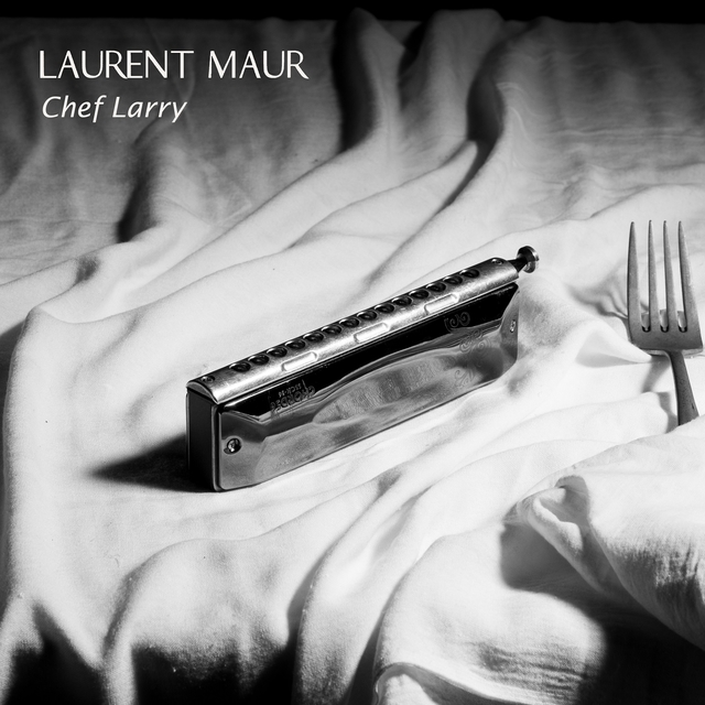 Couverture de Chef larry