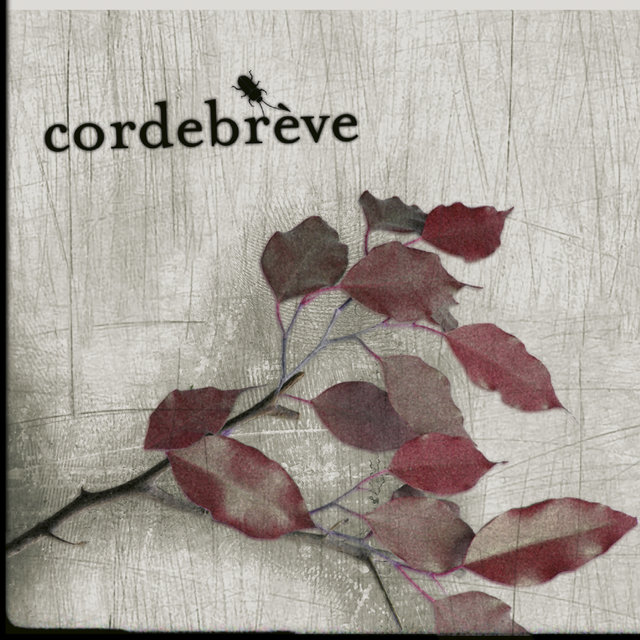 Couverture de Cordebrève