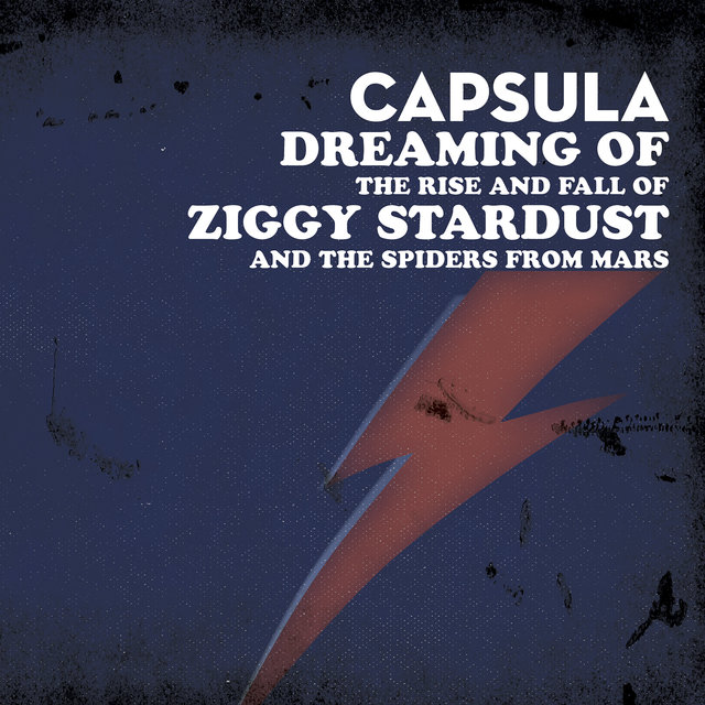 Couverture de Dreaming of the Rise and Fall of Ziggy Stardust and the Spiders from Mars