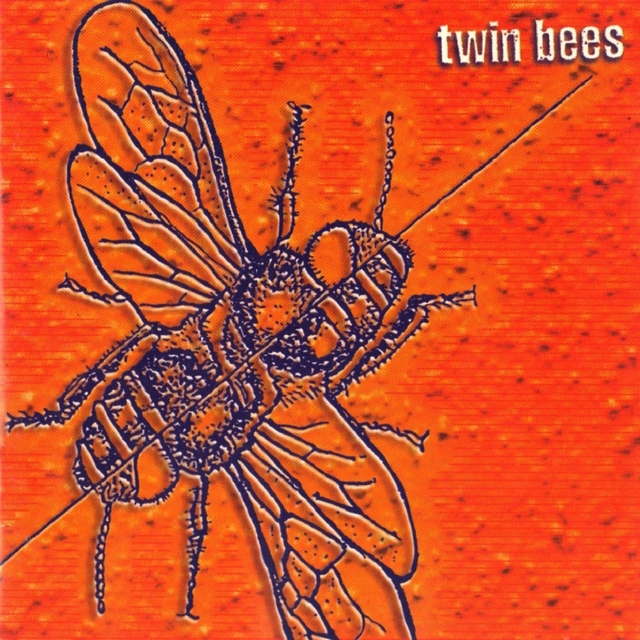 Couverture de Twin Bees