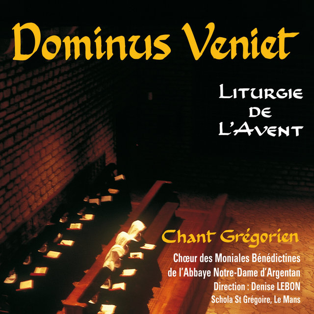 Couverture de Dominus Veniet : Liturgie de l'Avent (Chant Grégorien)