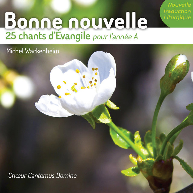 Couverture de Bonne nouvelle : 25 chants d'Évangile pour l'année A (nouvelle traduction liturgique)