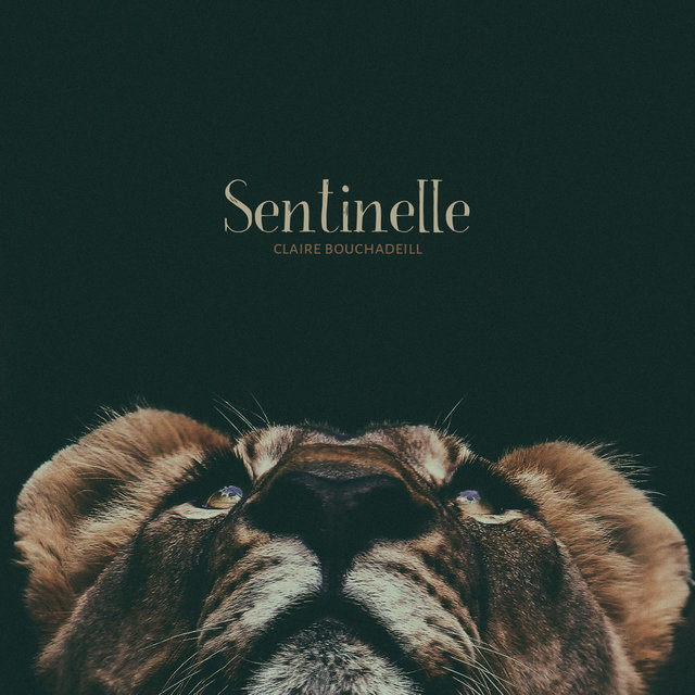 Sentinelle