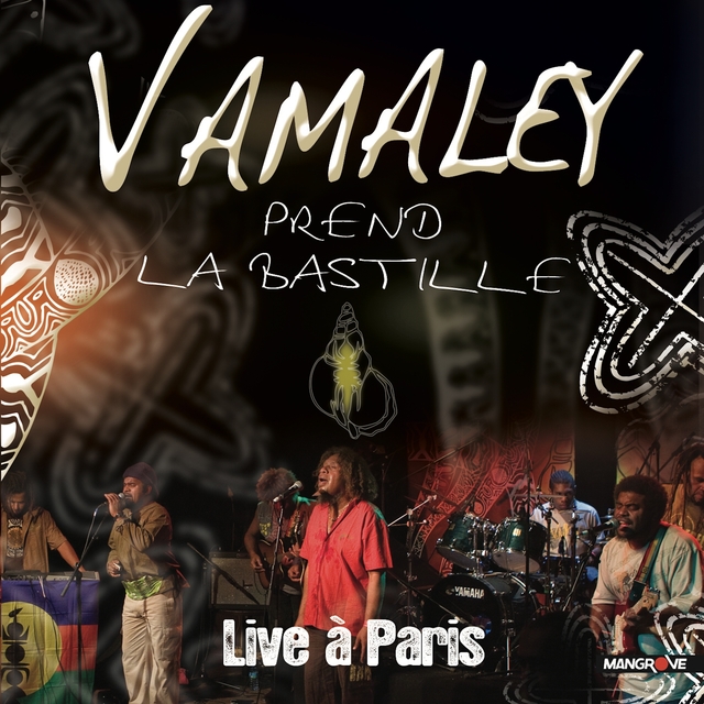 Vamaley prend la Bastille