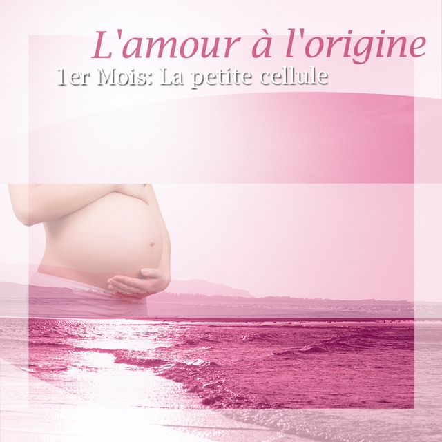 Couverture de L'amour à l'origine