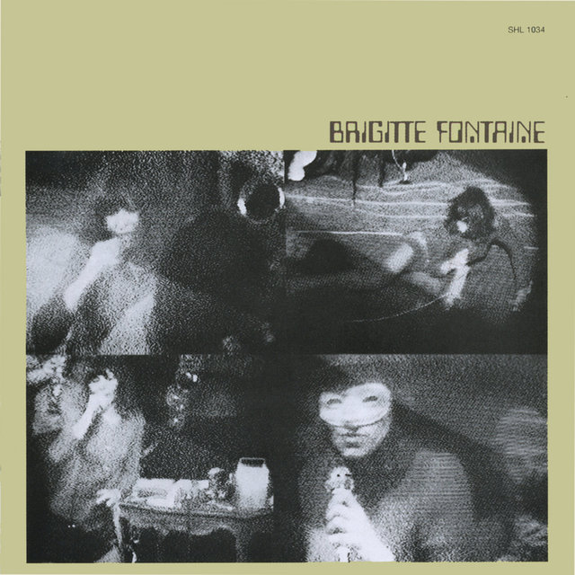 Couverture de Brigitte Fontaine