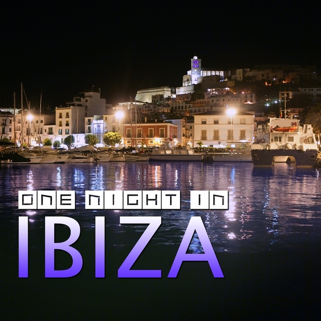 Couverture de One Night In Ibiza