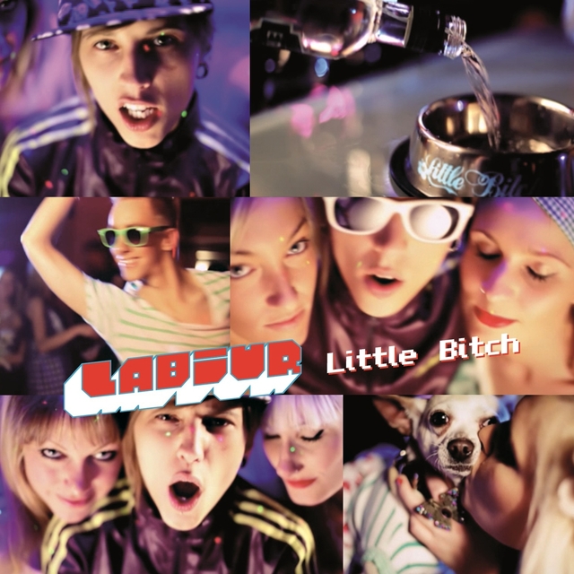 Couverture de Little Bitch