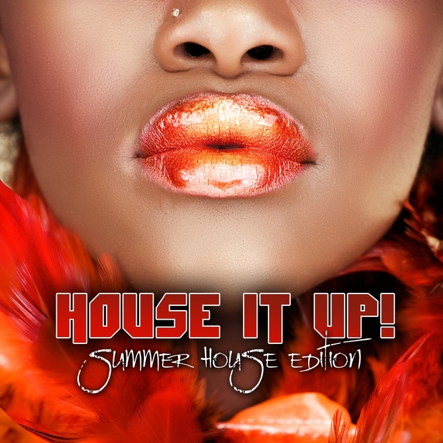 Couverture de House It Up, Vol. 3