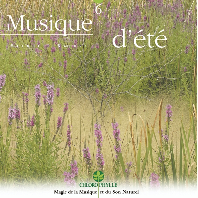 Couverture de Chlorophylle, Vol. 6 : Musique d'été