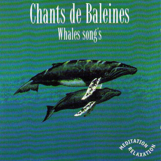 Couverture de Whales Songs