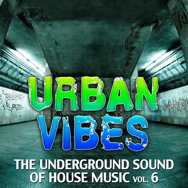 Couverture de Urban Vibes