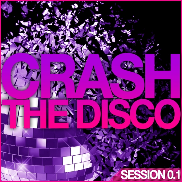 Couverture de Crash the Disco