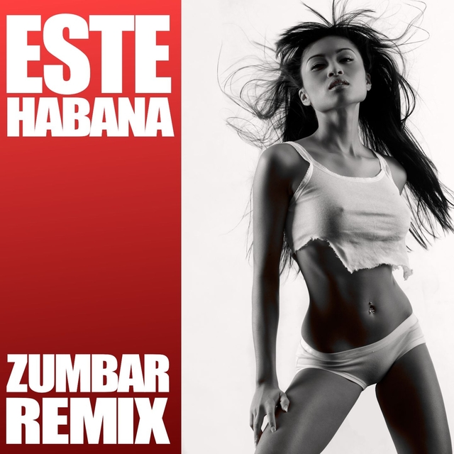 Couverture de Zumbar Remixes