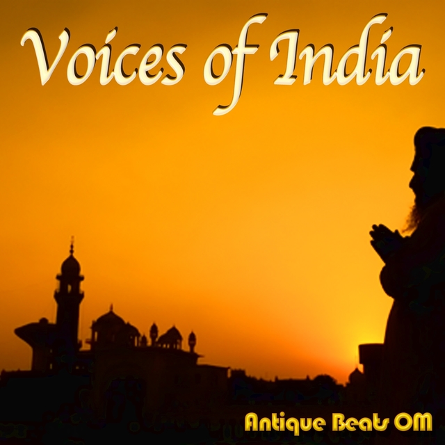 Couverture de Voices of India