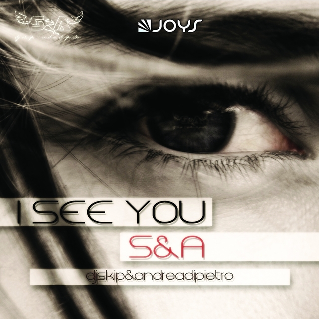 Couverture de I See You