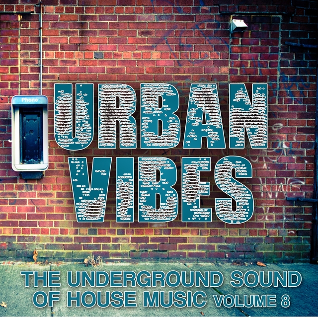 Couverture de Urban Vibes