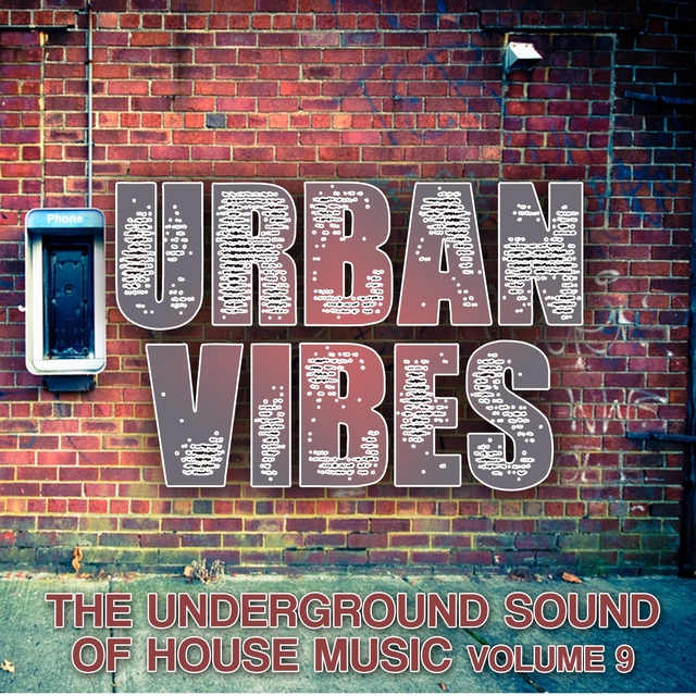 Couverture de Urban Vibes