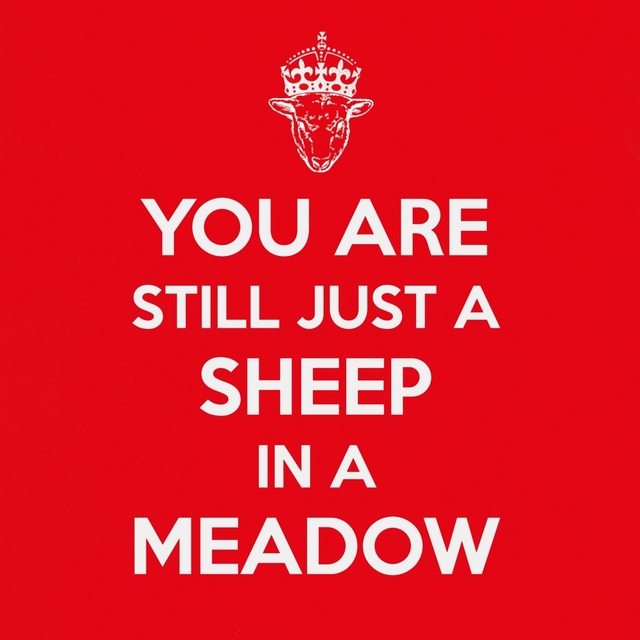 Couverture de You Are Still Just a Sheep in a Meadow