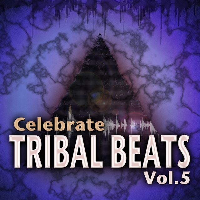 Couverture de Celebrate Tribal Beats, Vol. 5