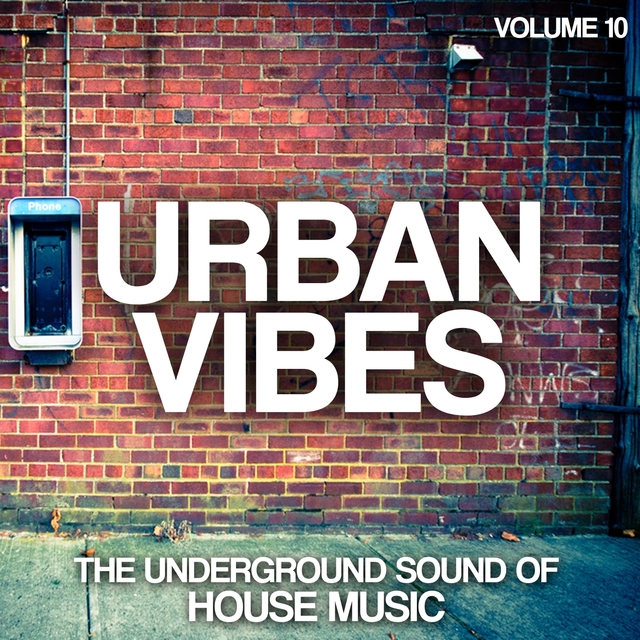 Couverture de Urban Vibes