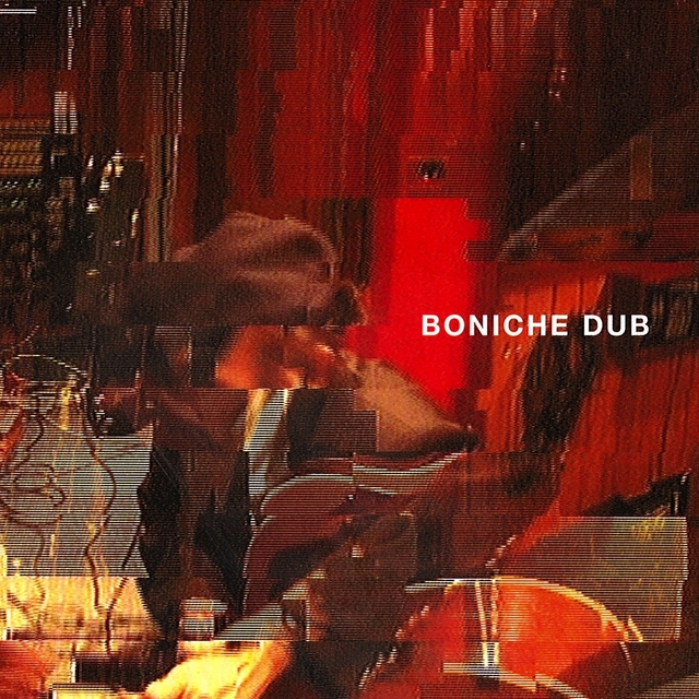 Couverture de A.P.C. Presents: Boniche Dub