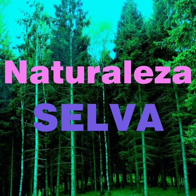 Couverture de Naturaleza