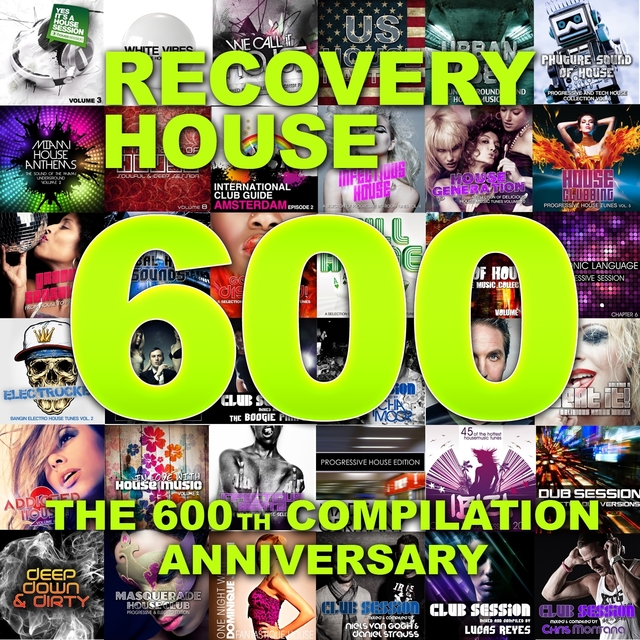 Couverture de Recovery House 600