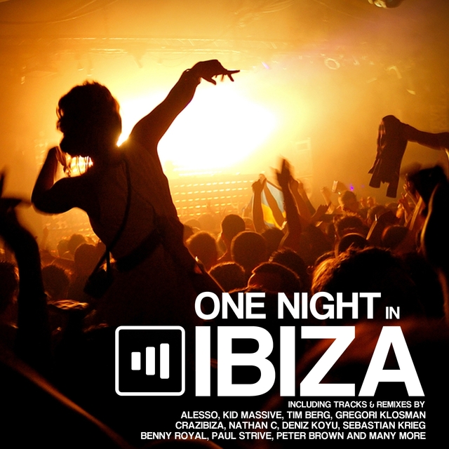 Couverture de One Night in Ibiza 2012