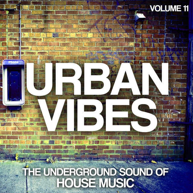 Couverture de Urban Vibes, Vol. 11