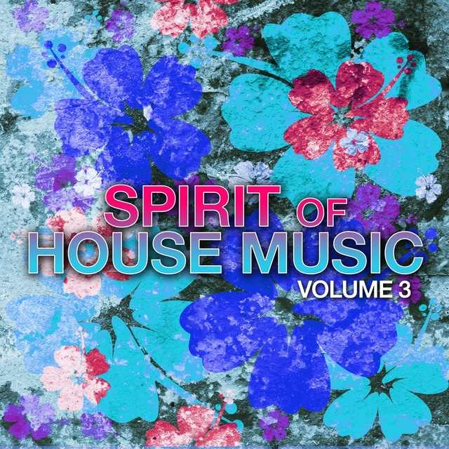 Couverture de Spirit of House Music, Vol. 3