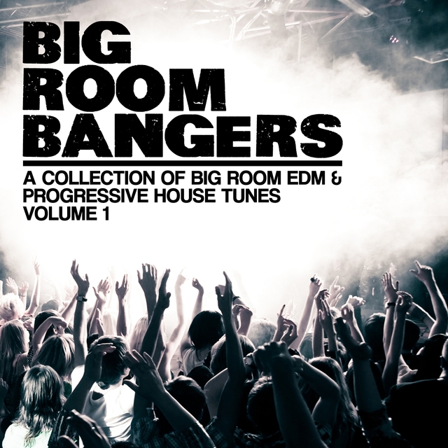 Couverture de Bigroom Bangers, Vol. 1