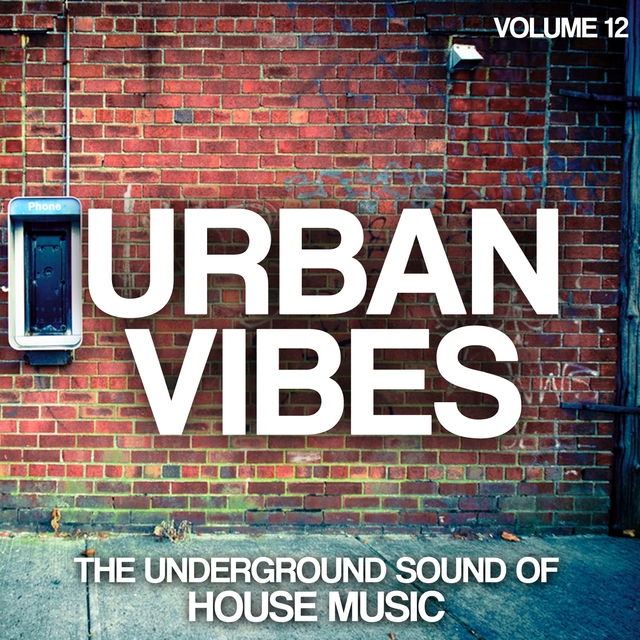 Couverture de Urban Vibes: The Underground Sound of House Music, Vol. 12