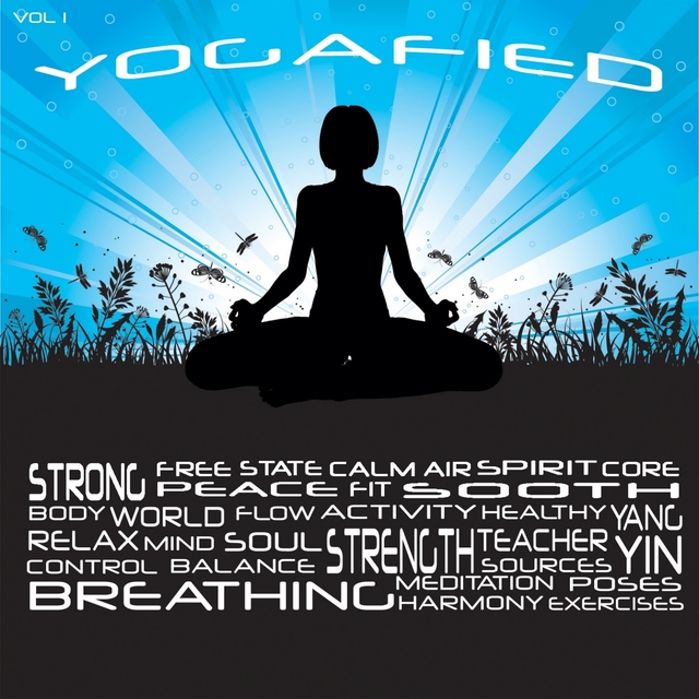 Yogafied, Vol. 1