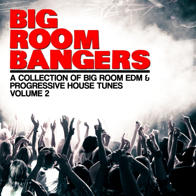 Big Room Bangers, Vol. 2