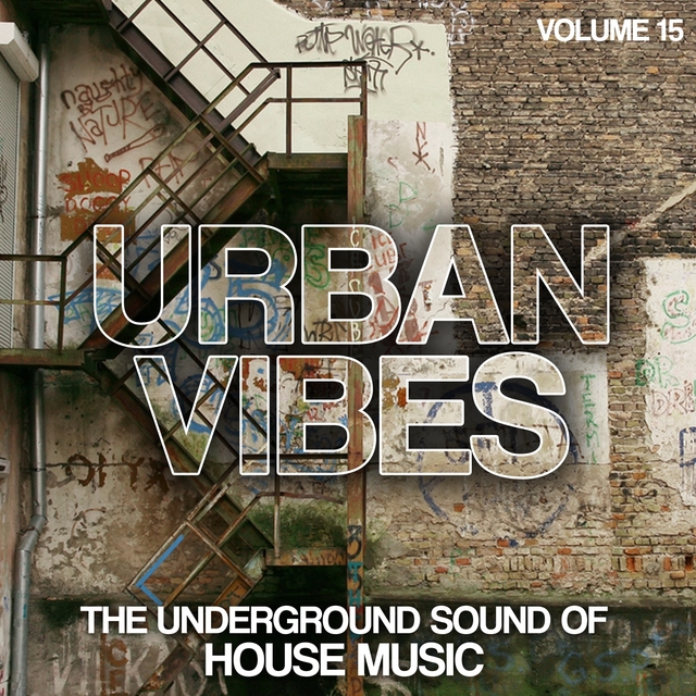 Couverture de Urban Vibes, Vol. 15
